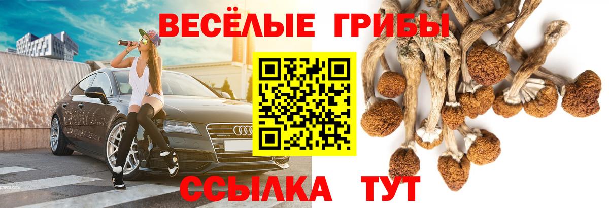 Псилоцибиновые грибы мицелий Старая Русса